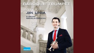 Plaisir d&#39;amour (arr. for trumpet and organ)
