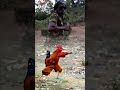 #funny #bongalo #duetlovesongs #funnycomedy #comedy #military #lovesongs