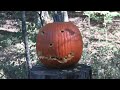 Pumpkin Carving with a Dirty Harry 44 Magnum