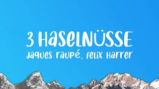 Jaques Raupé, Felix Harrer - 3 Haselnüsse (Techno Mix) Resimi