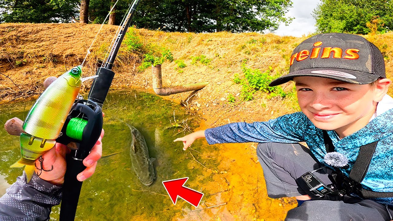 Les étangs SE VIDENT et dévoilent leurs Monstres ! On pêche avec des gros leurres et ça marche