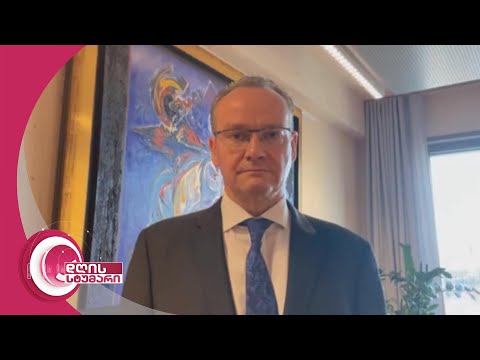 \"ეჭვი გვაქვს, რომ ბატონ გვარამიას სასჯელი მიესაჯა პოლიტიკური გავლენებით\" | გერმანელი დეპუტატი