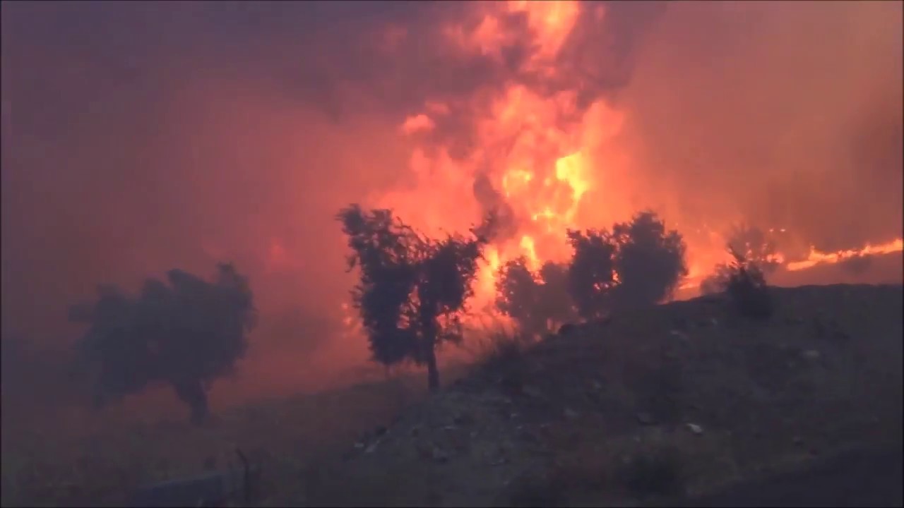 BOMBEIROS DE PORTUGAL OBRIGADO