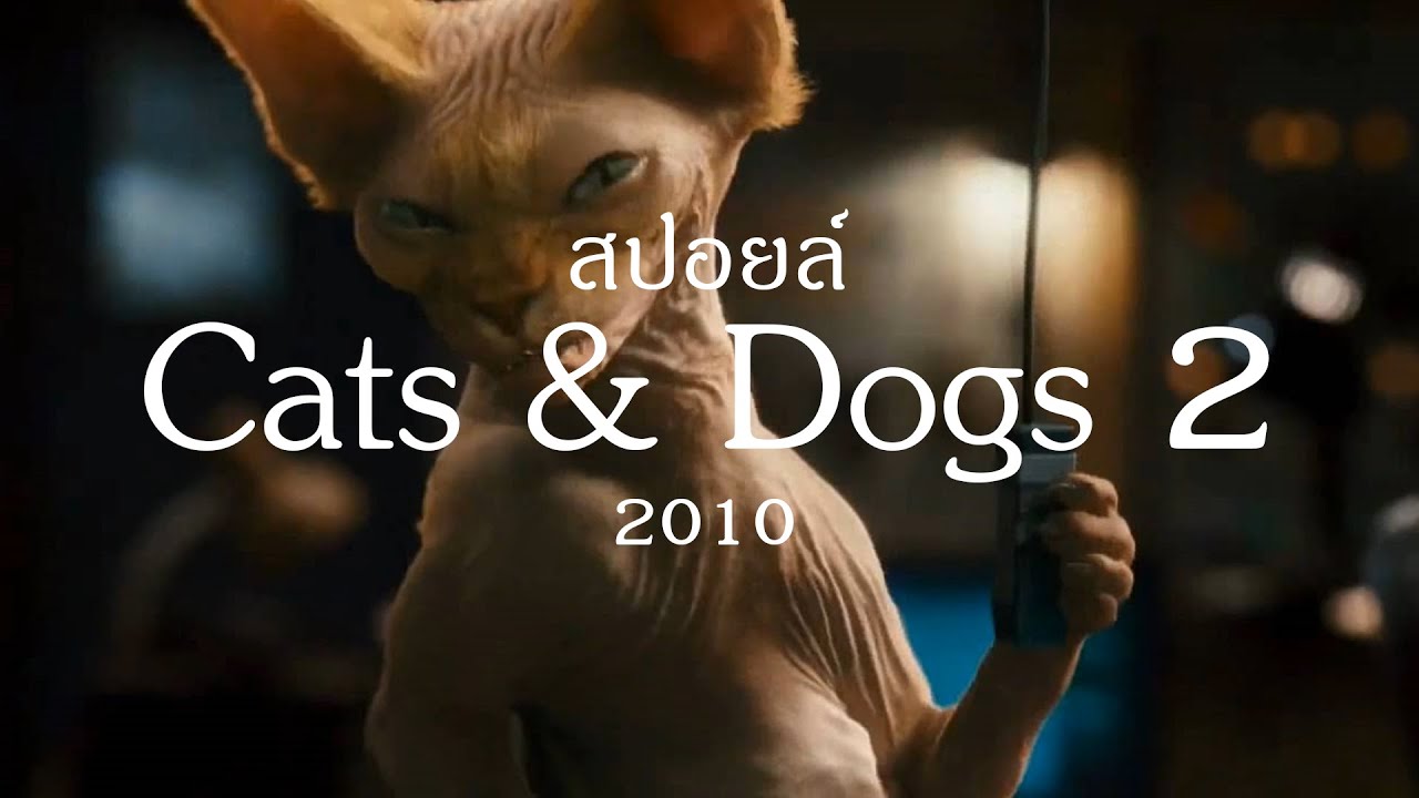สงคราม หมา แมว Update เมื่อแมวกับหมา มาเป็นสายลับ (สปอยล์หนัง-เก่า) Cats \u0026 Dogs 2