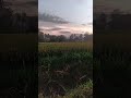 @Sangat merdu
