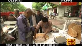 走遍中国 《走遍中国》中国古镇（38）20120927新城：半朝王家