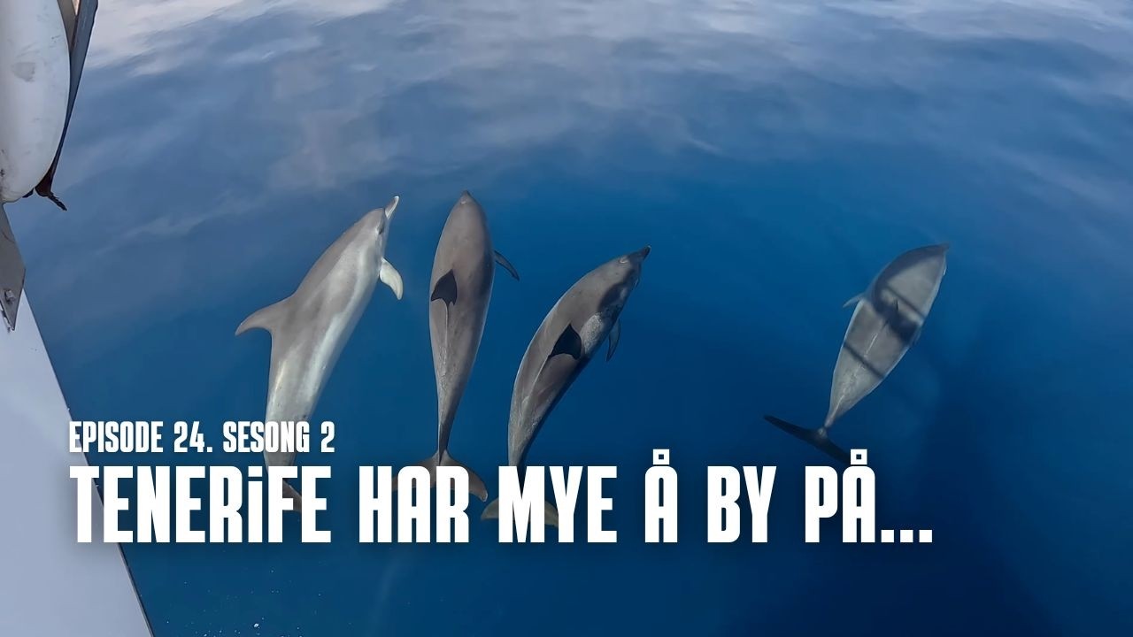 Tenerife har mye å by på… Episode 24 sesong 2 [35]