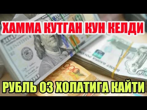 Video: Korteri ökoloogia