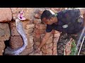 ईंटों में फसा खतरनाक इंडियन कोबरा - Cobra Snake Rescue | Sarpmitra Akash Jadhav