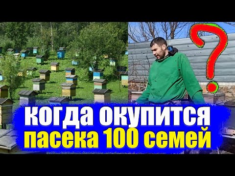 Бизнес - план пасека 100 (ульев) семей пчел