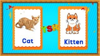 Animals And Their Babies Name | Animals And Their Babies For Kids | Kids Learning screenshot 1