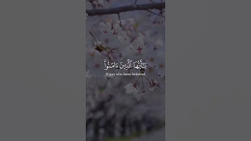 أن الله وملائكته يصلون على النبي حالات واتس اب قرآن تلاوة خاشعة القارئ ياسر الدوسري #قران_كريم 😴🎧
