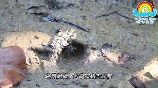 Publication Date: 2025-06-27 | Video Title: 第18屆「理想家園」比賽:短片項目參賽作品-理想家園? (東