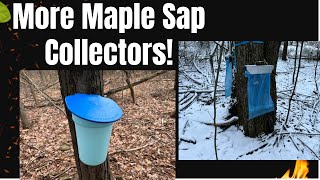 More Maple Syrup Collection Ways!!  Syrup 2024 by Jerfish Entertainment, Music, Sailing, and Farms 62 views 3 months ago 4 minutes, 33 seconds