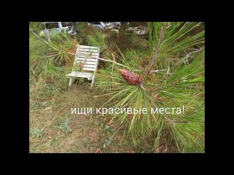 Ищи красивые места! Не падай духом где попало!