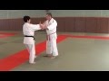 Jujitsu 20 techniques  a3