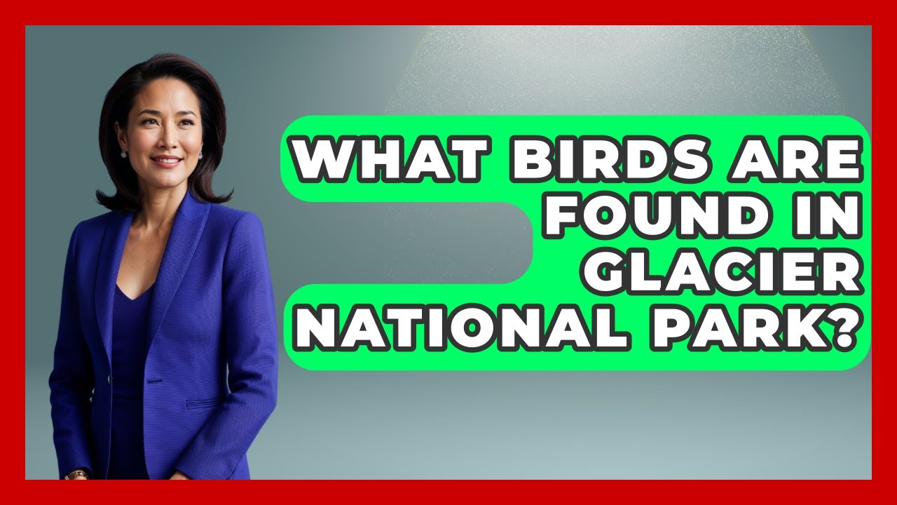 What Birds Are Found In Glacier National Park? - Bird Watching Diaries