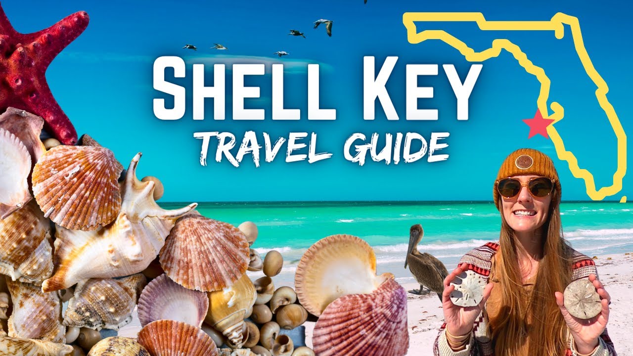 Shell Key  Explore this Florida Island and Sheller's Paradise 