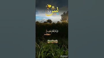 #تلاوة_خاشعة #قرآن #راحة_نفسية #دعاء #اكسبلور #duet #تيك_توك #لايك #ارحقلبك