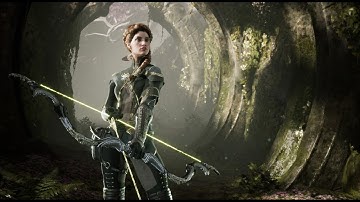 Paragon Demo: Sparrow