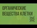 Органические вещества клетки. Видеоурок по биологии 9 класс