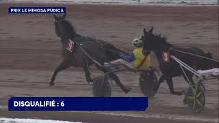 Vidéo de la course PMU PRIX LE MIMOSA PUDICA