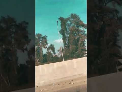 الطريق فاضي النهارده العربية