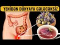 Faydasını Biləndən sonra HƏR GECƏ 1 Stəkan İçəcəksiz!