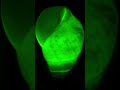 Glowing Snail Makes Scientists Jealous #shorts