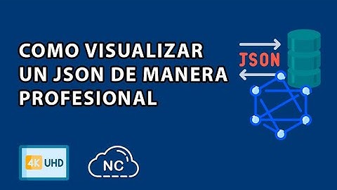 COMO VISUALIZAR UN JSON DE MANERA PROFESIONAL