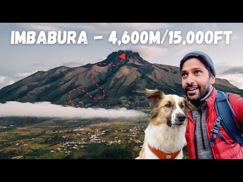 My Dog Climbed a Volcano in Ecuador | Imbabura