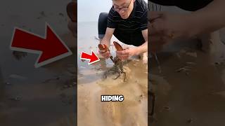Why You Should Never Walk Barefoot on the Beach! 🦀⚠️