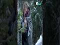 One Man Against a Sniper to Save His Family #shorts #movie #drama