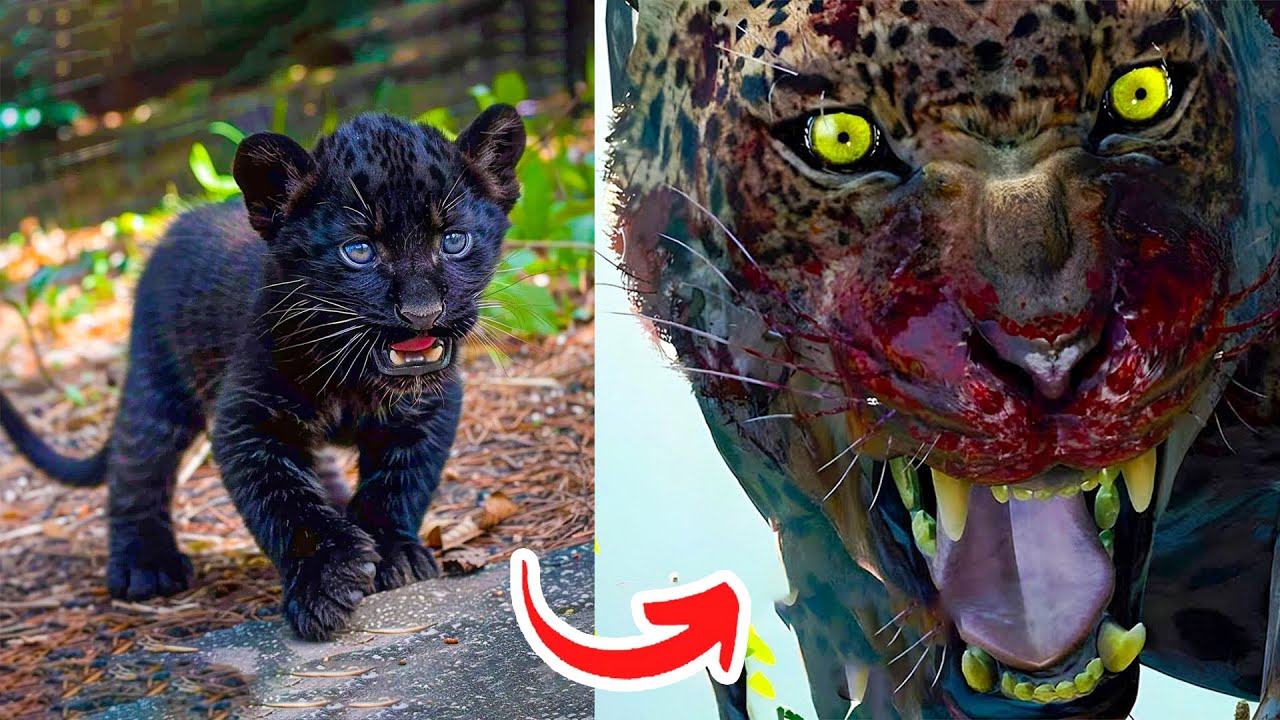 Before & After Animals Growing Up. Amazing Animal Transformation 💥 