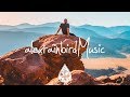 Wilderado - Surefire