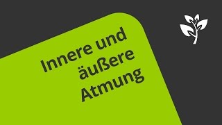 Die innere und äußere Atmung - eine Erklärung | Biologie | Humanbiologie