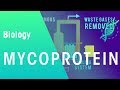 Mycoprotein | Microorganisms | Biology | FuseSchool