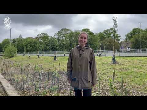 Tree planting at Arle Court Cheltenham