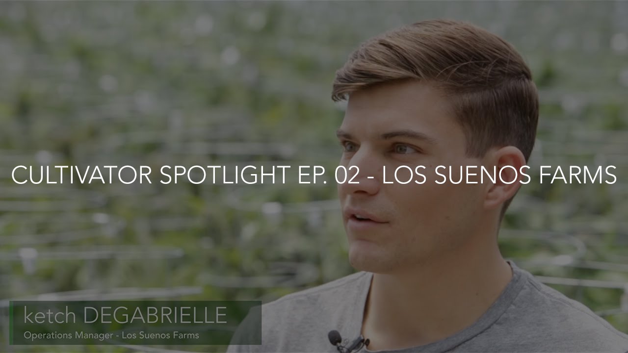 Cultivator Spotlight ~ Los Suenos Farms
