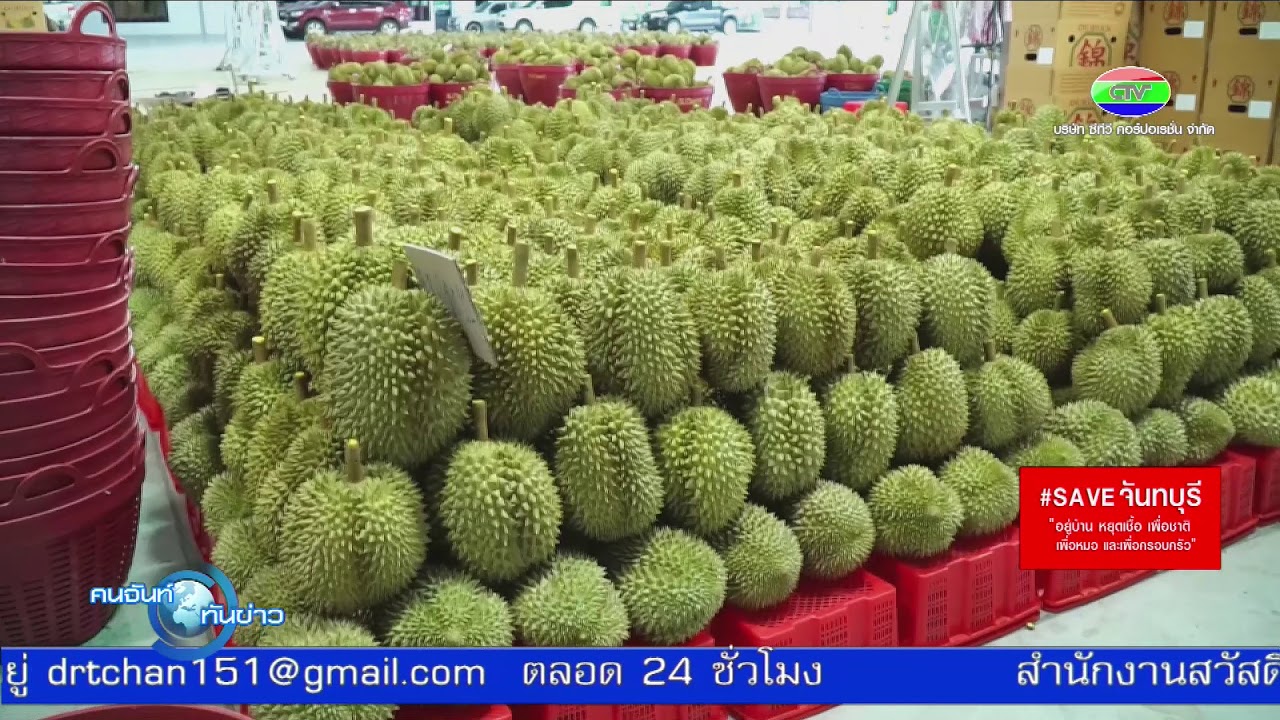 ล้งทุเรียน รับมือ ยุคโควิด อย่างไร? : ล้ง หอมหมื่นลี้