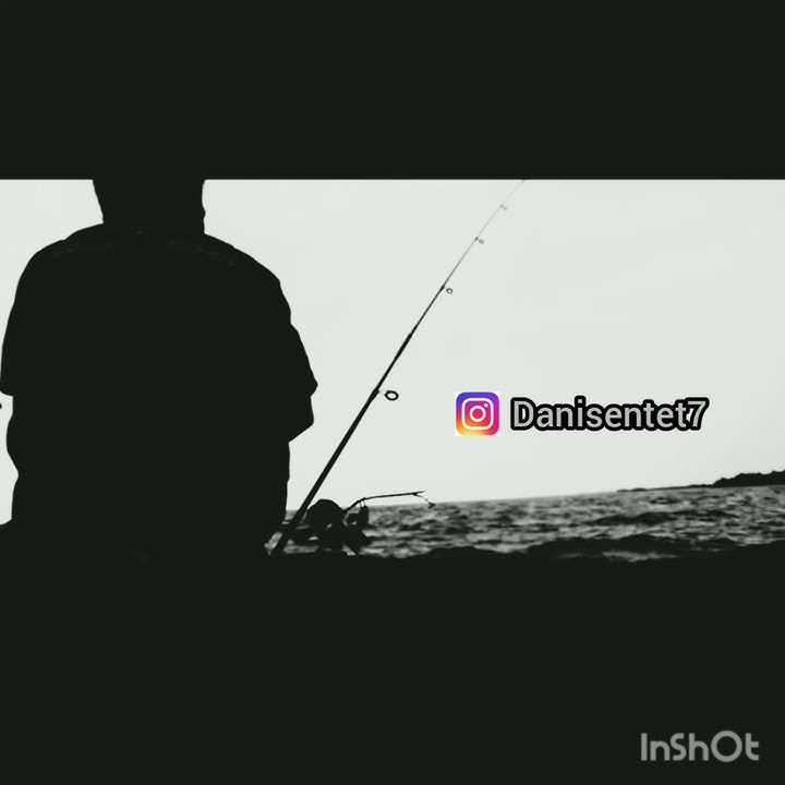 Story wa bersama bintang