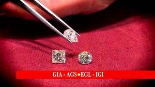 RoyRoseJewelry BridalDiamond