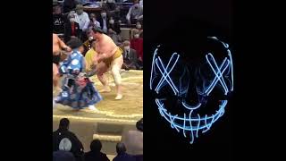 Traditional Fight. #fighting #sumo #duet #usa#hearttouching