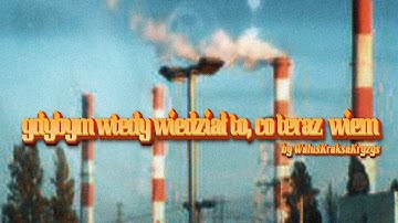 WaluśKraksaKryzys - gdybym wtedy wiedział to, co teraz wiem (Official Video)