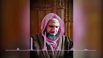 تلاوة من سورة هود || عمر عقيلان