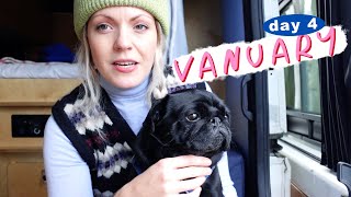 Vanuary Day 4 🚐 Our Dog Got Sick