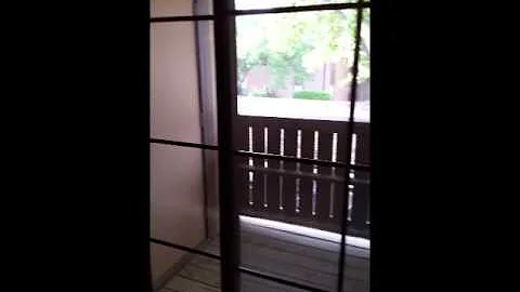 1 Bedroom Tour @ Springhill Apartments