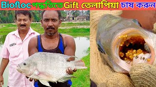 Gift Tilapia farming|Best farm of West Bengal |The Roshik Bangali ||