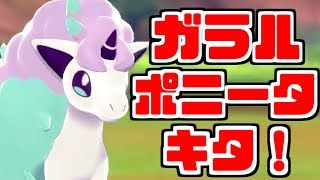 【ポケモン剣盾】ガラルのすがたポニータのタイプが意外過ぎた！