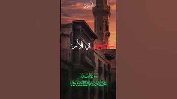 ونريد ان نمن على الذين استضعغوا | المنشاوي | سورة القصص #المنشاوي #القرآن_الكريم #اكسبلور